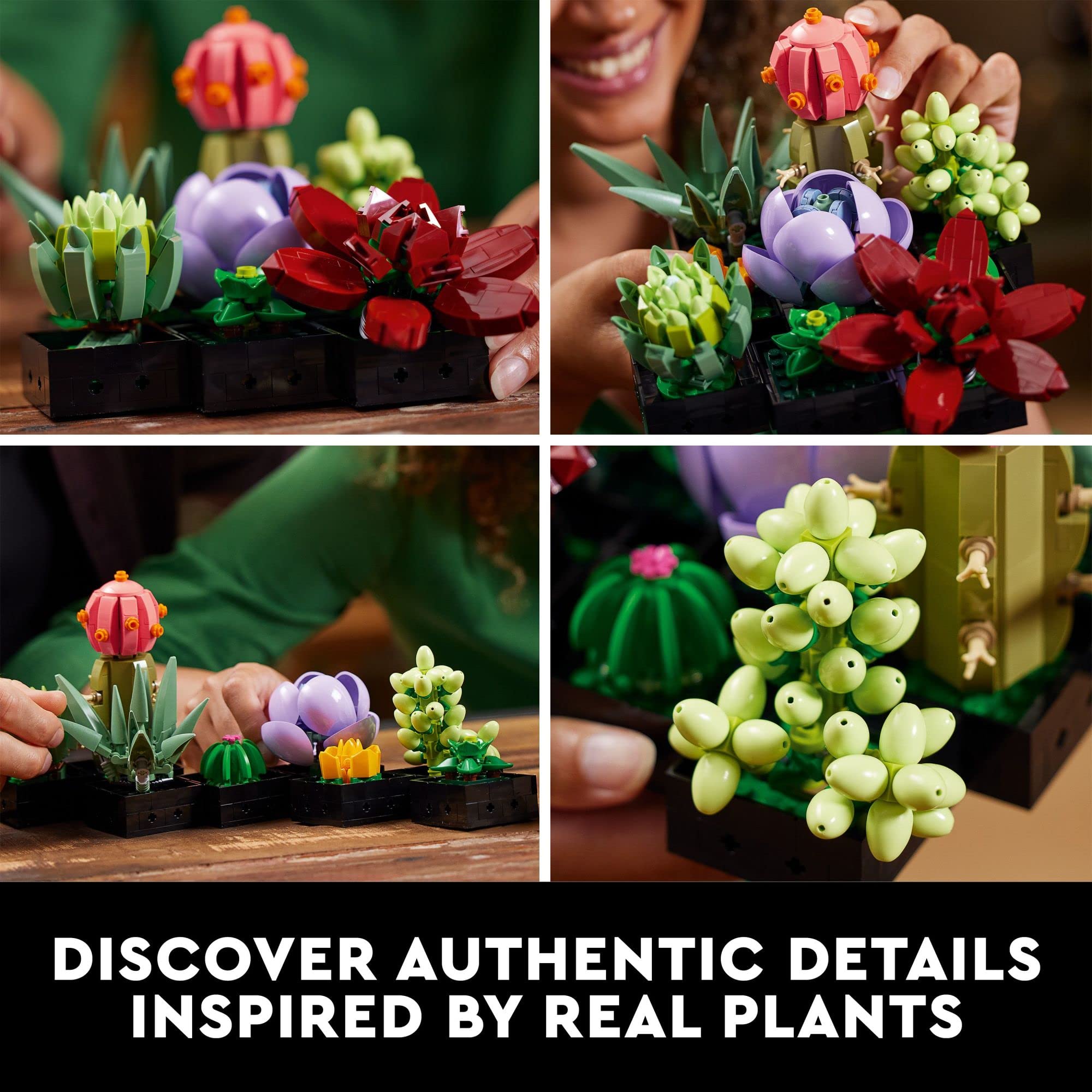 LEGO Succulents 10309 Plant Decor Building Set *SEALED/BOX DAMAGE* (7945746907374)